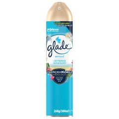 Glade Aerosol Room Fragrance Ocean Silence 300 ml x 3 Packs Buy More Pay Less