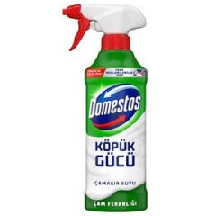 Domesto Schaum Power Kieferfrische 450 ml